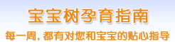 每一周，都有对和宝宝的贴心指导